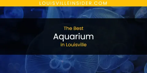 Guide to Best Aquarium in Louisville
