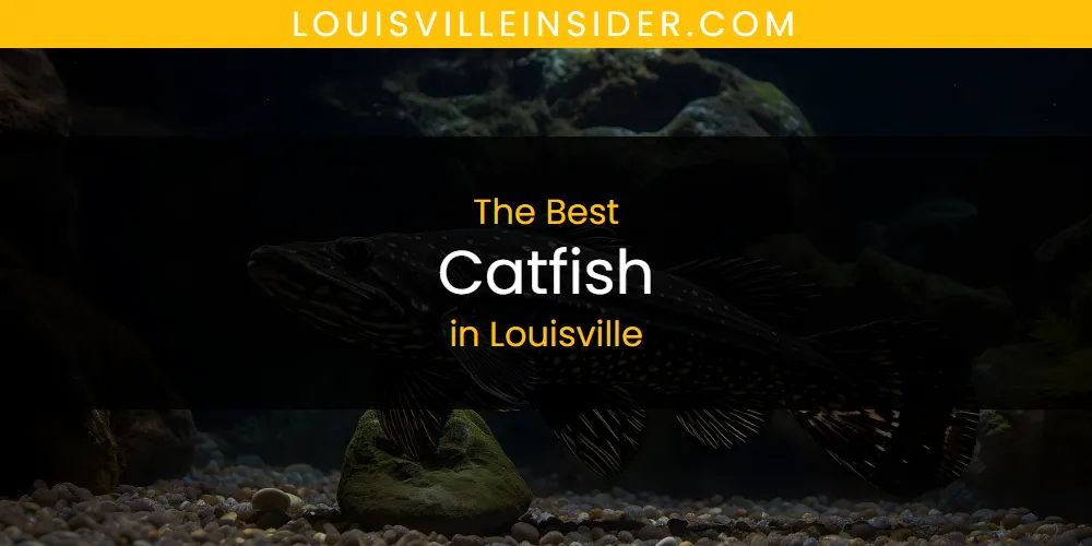 Louisville's Best Catfish [Updated 2025]