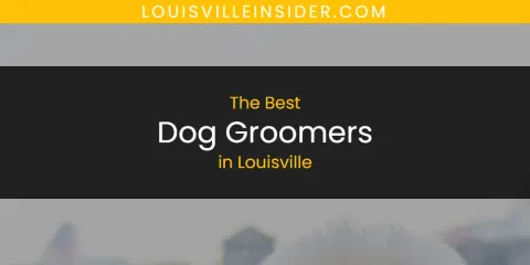 Louisville's Best Dog Groomers Spots