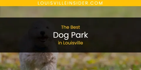 Louisville's Best Dog Park