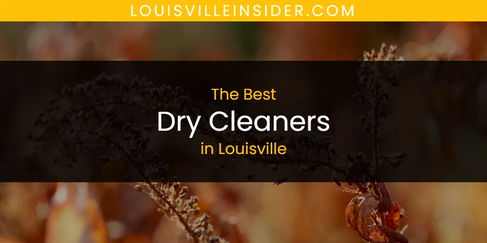 Louisville's Best Dry Cleaners [Updated 2025]