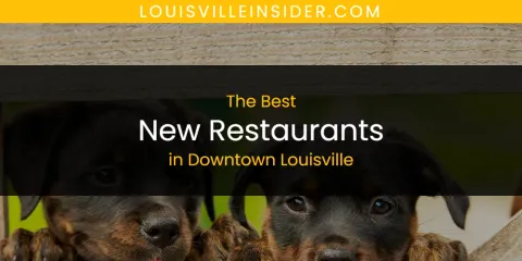 The Absolute Best New Restaurants in Downtown Louisville
