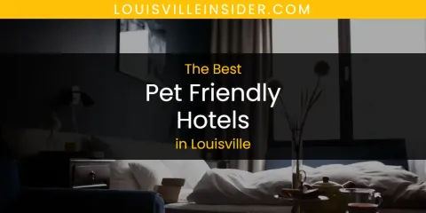 Guide to Best Pet Friendly Hotels in Louisville