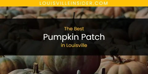 Louisville's Best Pumpkin Patch