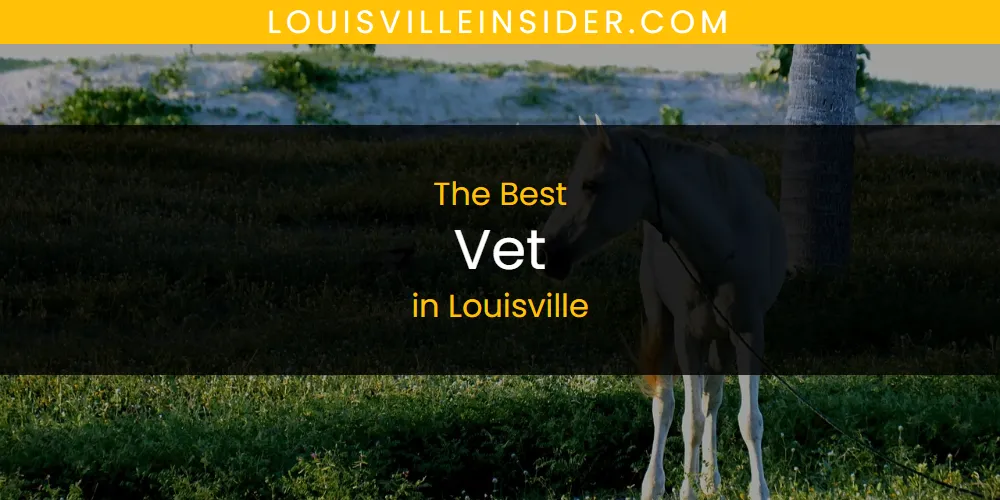 Louisville's Best Vet [Updated 2025]
